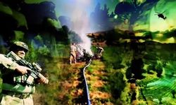 Diyarbakır’da dev operasyon! 4,4 milyon kök kenevir ele geçirildi