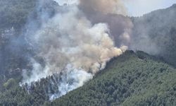 Eskişehir'in Seyitgazi ilçesinde orman yangınına müdahale sürüyor