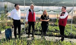 Yalova Tarım Müdürü Mustafa İlmeç Sahada: Çiftçiye Destek, Sorunlara Çözüm