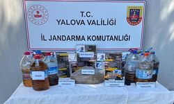 Yalova’da Kaçak Alkol ve Tütün Operasyonu
