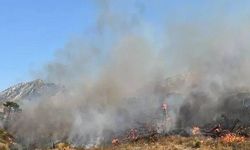 Şırnak’ta  orman ve örtü yangını