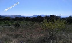 gallery_0