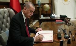 Cumhurbaşkanlığı'na yeni daire başkanlığı kuruldu