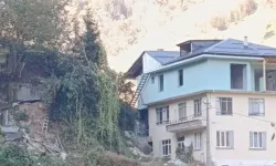 Rize’nin Erenler köyünde arı kovanlığı çöktü: 2 kişi hayatını kaybetti