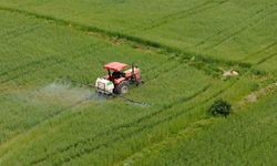 Tarımsal destek ödemesi hesaplara yatırılmaya başladı