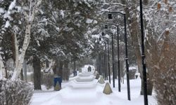 Türkiye’nin en soğuk şehri eksi 30,3 dereceyle Erzurum oldu