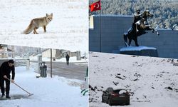 Yurdun bazı kesimlerinde kar etkili oldu