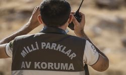 Kayseri’de Koruma Altındaki Yaban Keçisini Vuran Avcıya 953 Bin TL Ceza