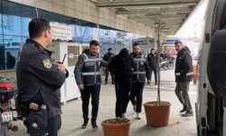 Siirt’te sahtecilik ve rüşvet operasyonu: 19 tutuklama