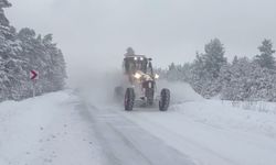 7 ilde kar engeli: 1327 yerleşim yerine ulaşım sağlanamıyor