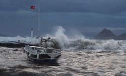 Kaş’ta şiddetli fırtınada Ağaçlar devrildi, okul çatısı zarar gördü