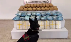 63 ilde 1 tonu aşkın uyuşturucu ele geçirildi
