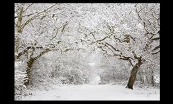 Meteoroloji’den 5 İl İçin “Sarı” Kodlu Uyarı: Kar ve Fırtına Kapıda