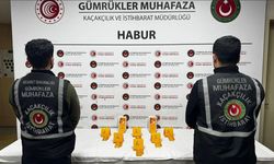 Habur Gümrük Kapısı’nda 41 kilogram altın ele geçirildi