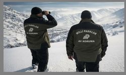 Niğde’de yasa dışı avcılığa suçüstü!