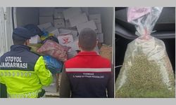 Tekirdağ’da 2 ton sağlıksız fıstık imha edildi