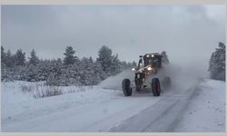 Doğu Anadolu’da kar etkisini sürdürüyor