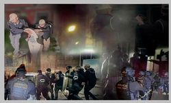 29 ilde DEAŞ operasyonunda 139 şüpheli yakalandı