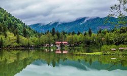 Milli Parklar Kanunu’nda Kaçak Yapı ve Avcılığa Ağır Cezalar