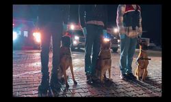 İstanbul Anadolu Yakası’nda Organize Suç Örgütü Operasyonu: 5 Gözaltı