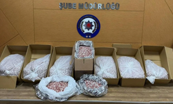 İzmir’de 356 bin uyuşturucu hap ele geçirildi