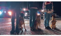 İstanbul’da Silahlı Suç Örgütüne Operasyon: 18 Gözaltı