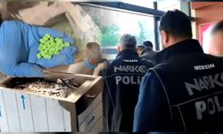71 ilde uyuşturucu çetelerine eş zamanlı operasyon