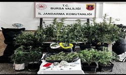 Bursa’da İklimlendirme Sistemi ve Kilo Bazında Esrar Ele Geçirildi