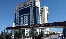 Tarım Ve Orman Bakanlığı Taklit Ve Tağşiş Listesini Güncelledi: 9 Yeni Ürün Daha Eklendi