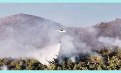 Muğla Milas'taki yangın büyük ölçüde kontrol altında