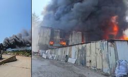 Kocaeli'de Fabrika Yangını: Çok Sayıda Ekip Bölgeye Sevk Edildi