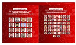 Yurt dışına kaçan 60 suçlu Türkiye’ye getirildi