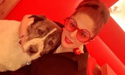 Esenyurt’ta 10 Yıllık Sahipli Köpek Barınakta Öldü: Aileden Otopsi ve Soruşturma Talebi