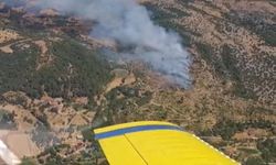 İzmir Kiraz’da Tarım Arazisinde Çıkan Yangın Ormana Sıçradı
