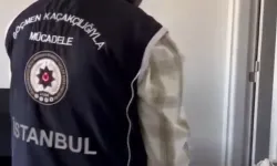 İstanbul merkezli 16 ilde sahte ekspertizle vatandaşlık operasyonu