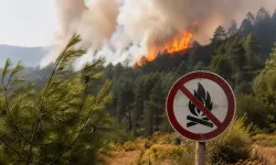 Antalya’da ormanlık alana yakın bölgede yangın çıktı