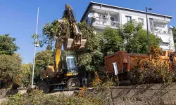 İzmir’de Yağmur Öncesi Kritik Çalışma: Dere Yatakları Temizleniyor
