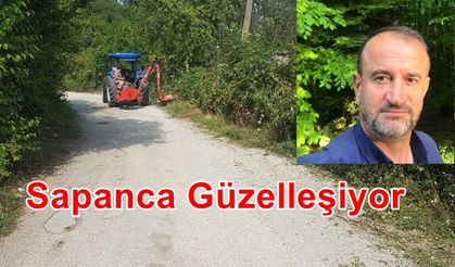 Park Bahçeler Çalışıyor, Sapanca Güzelleşiyor