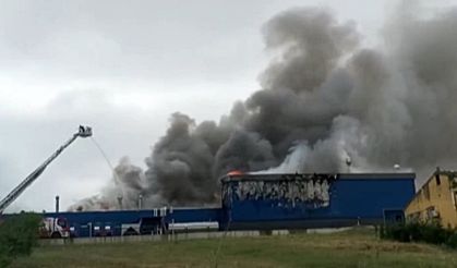 Dilovası'nda kimya fabrikasında yangın