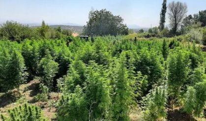 İçişleri Diyarbakır'ı kenevir 'Abluka'sına aldı