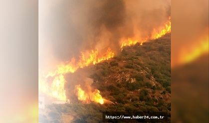 Kütahya ormanları yanıyor! Bazı köyler tahliye ediliyor