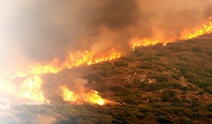 Muğla'da orman yangını! Alevler hızla yayılıyor
