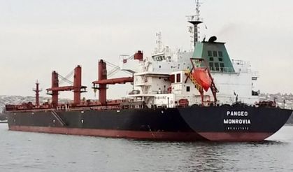 Dökme yük gemisi Tekirdağ'da karaya oturdu