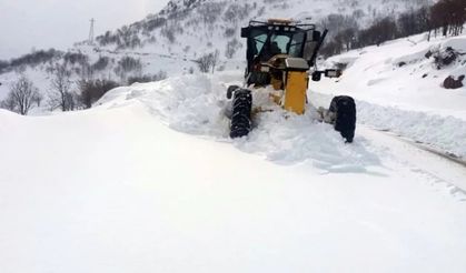 Bingöl'de kapalı köy yolları açma çalışmaları sürüyor