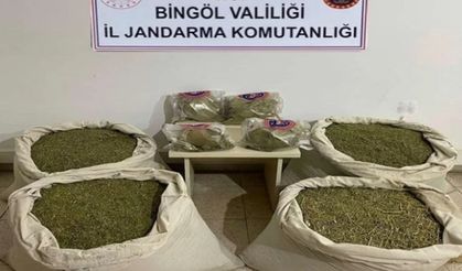 Bingöl’de 145 kilogram esrar ele geçirildi