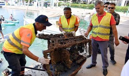 Denizler çıkanlar herkesi şok etti
