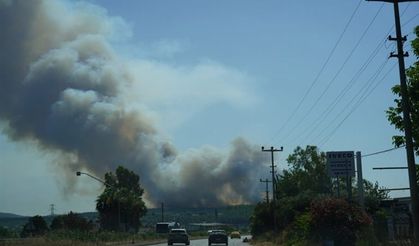 Milas'ta yangın! 2 mahalleyi tehdit ediyor