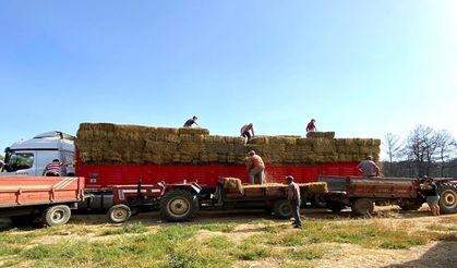 Kocaeli’den, Çanakkale’deki yangın mağduru çiftçilere destek