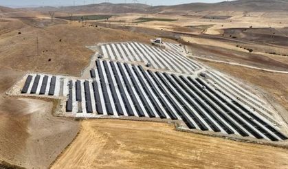 GES paneller 170 bin ağacın kesilmesini önledi!