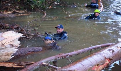 Kırklareli'de ölü sayısı 6'ya çıktı